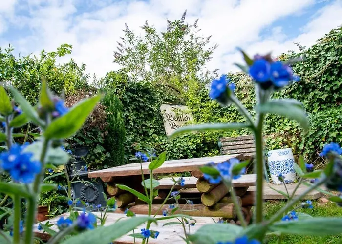 Best Hotels Near Alton Towers for Your Thrilling Stay